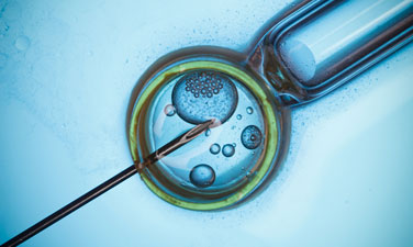 In vitro fertilization, IVF macro concept.
